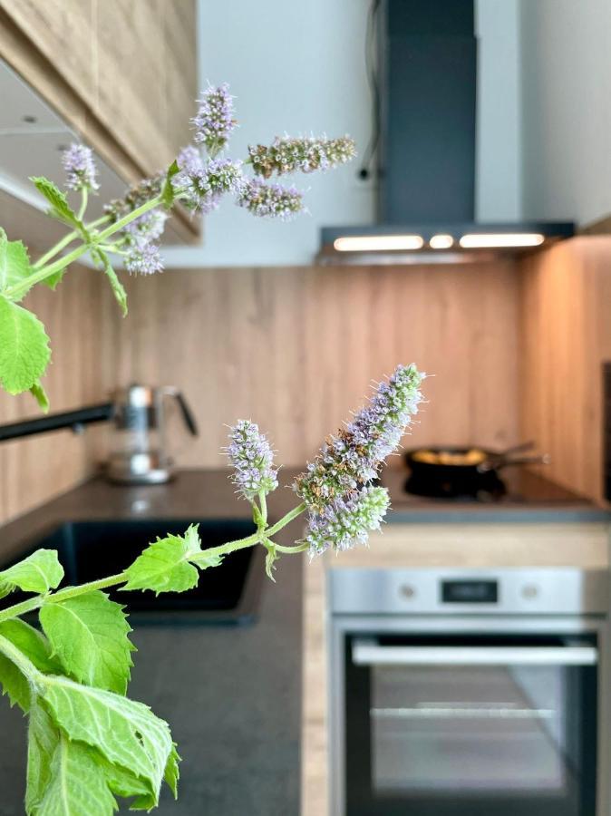 Apartmán Kalevi Panorama Tallinn Exteriér fotografie